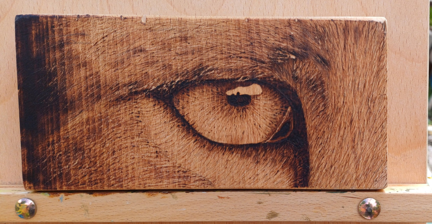 Eye-leen