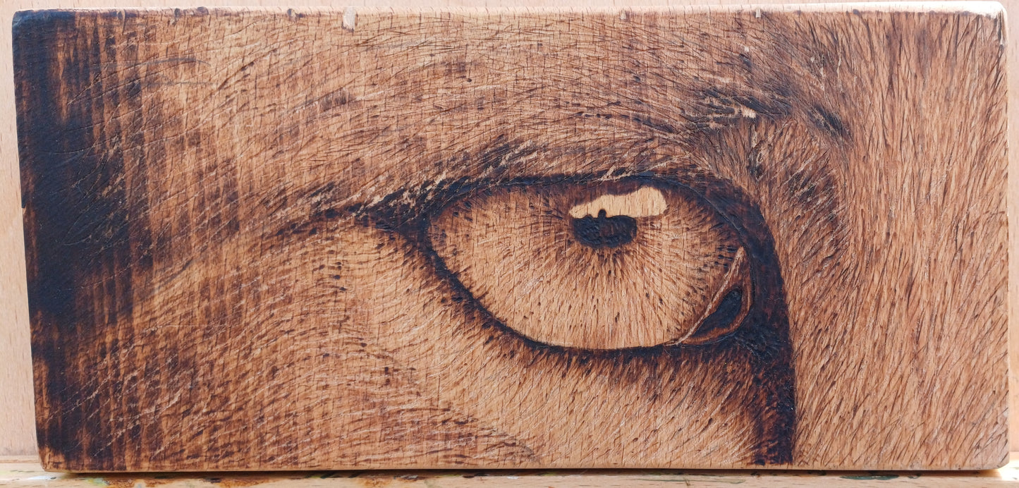 Eye-leen
