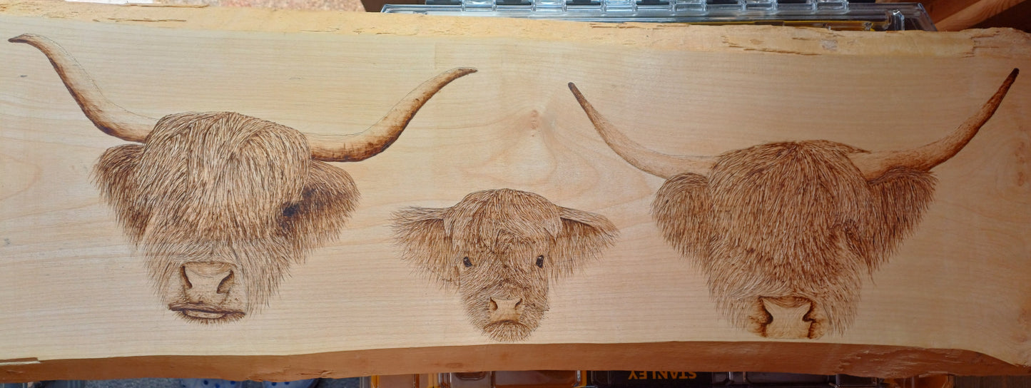 The Highland Trio