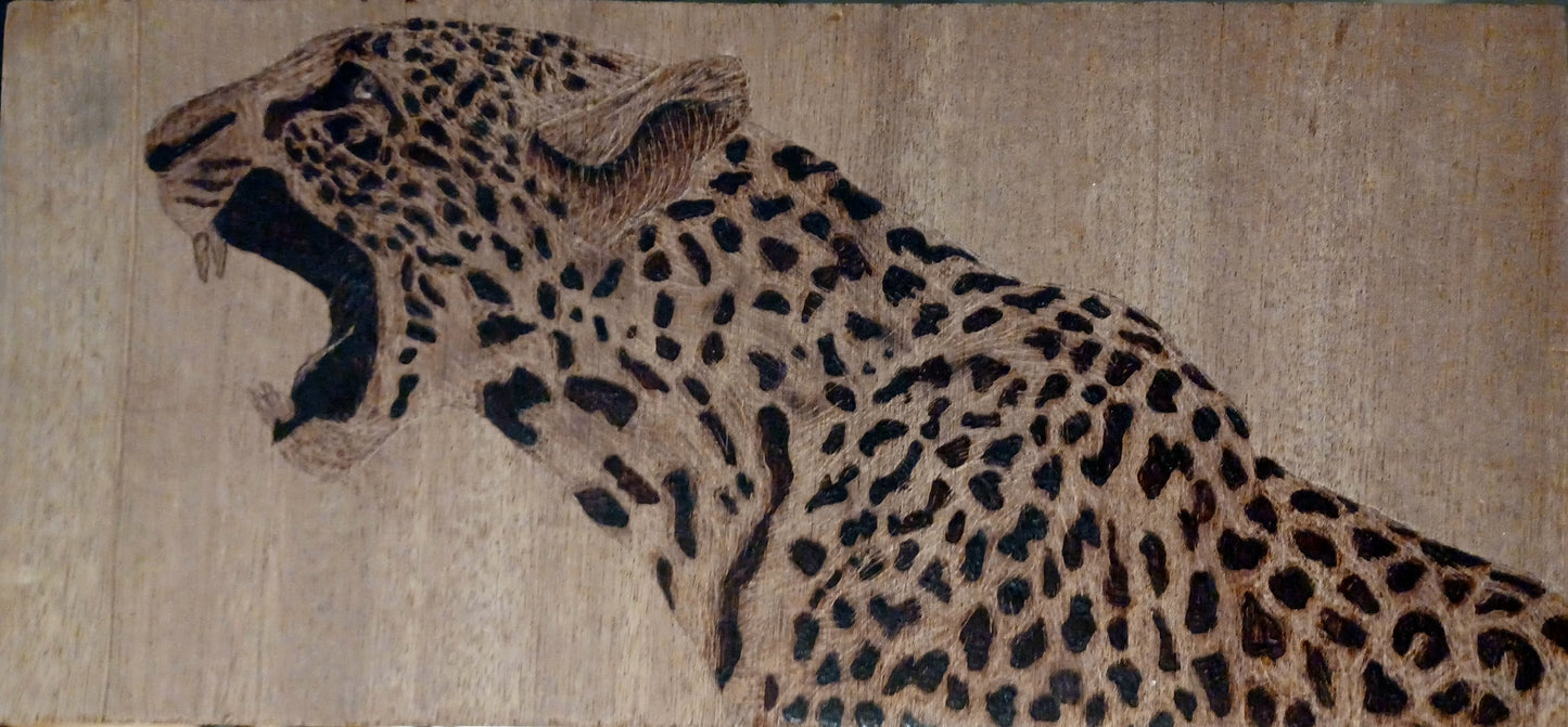 Angry Jaguar