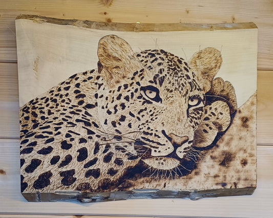 Chilling Jaguar