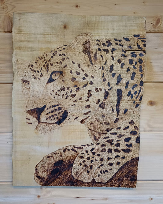 Lingering Jaguar