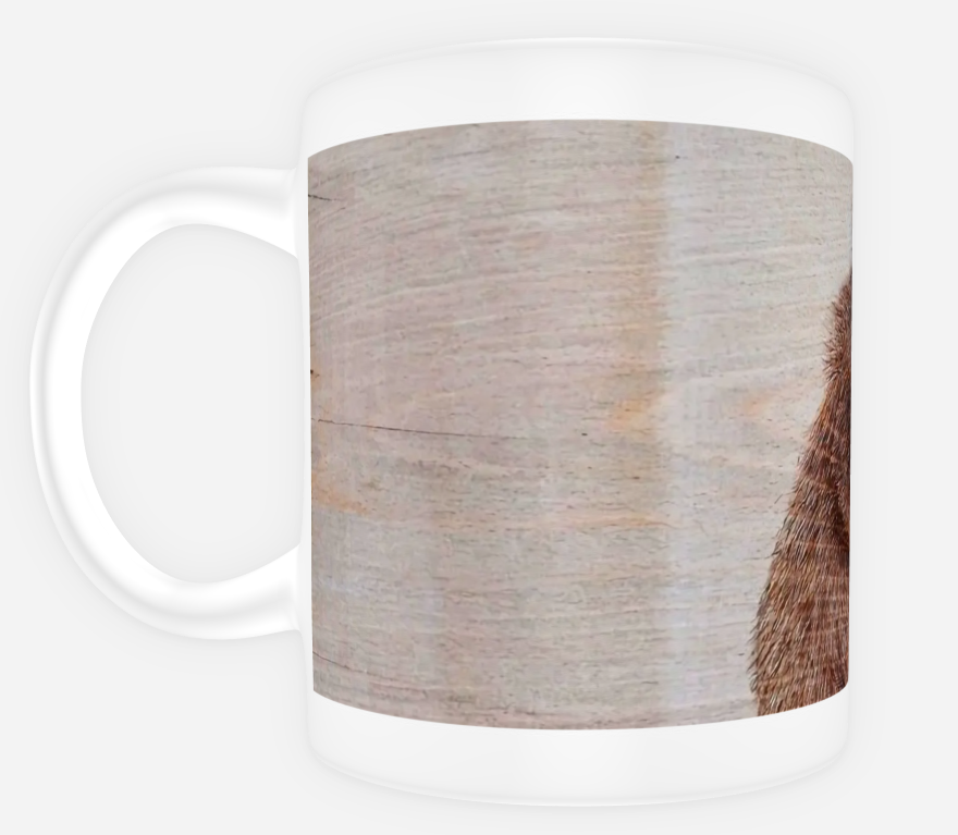 Fight For Tea Mugs