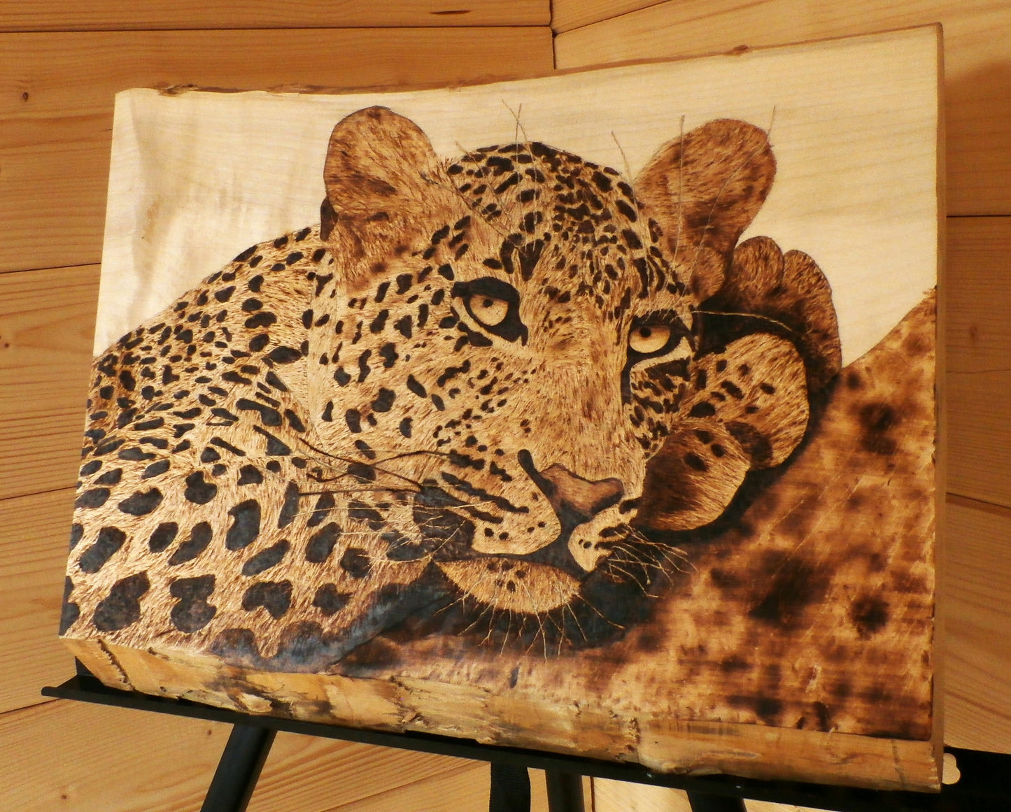 Chilling Jaguar