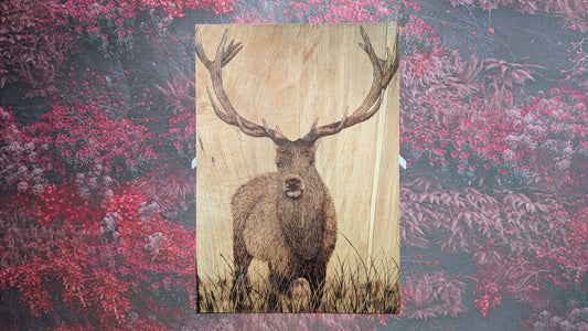 Pride Of Scotland - Postcard