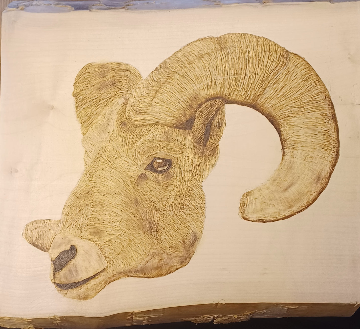 Ram-Say