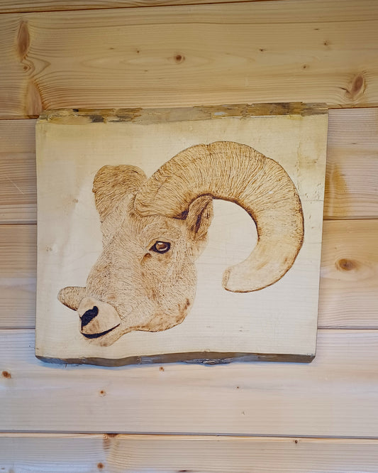 Ram-Say
