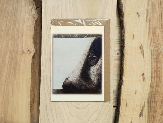"Your Badgering Me" Greeting Card