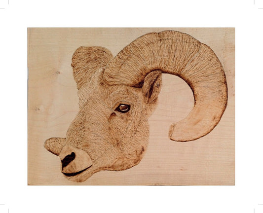 "Ram-Say" Art Print