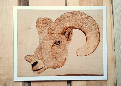 "Ram-Say" - Print & Card Package