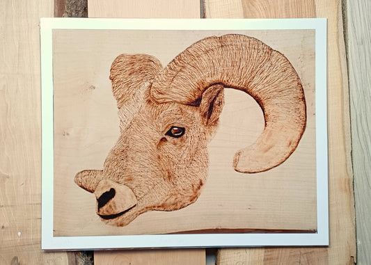 "Ram-Say" - Print & Card Package