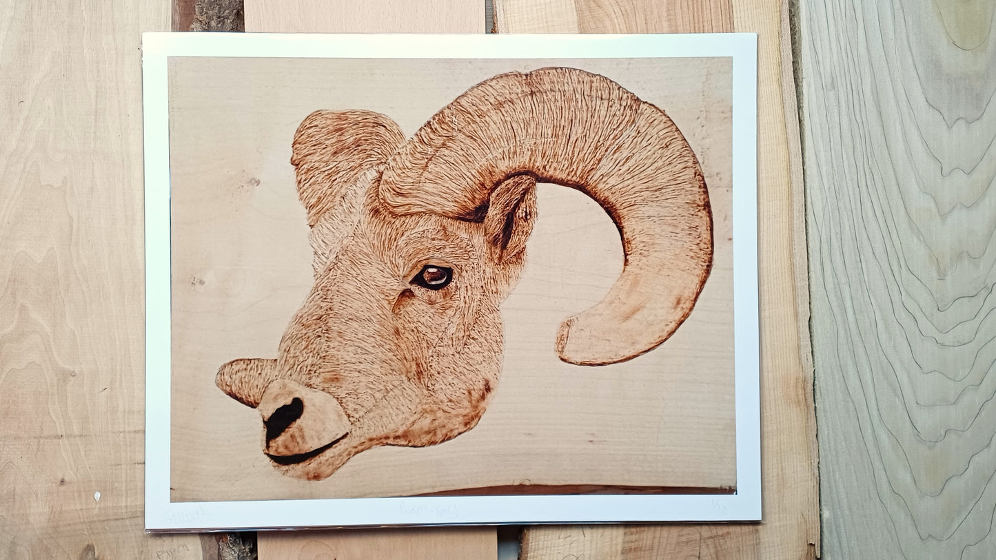"Ram-Say" Art Print