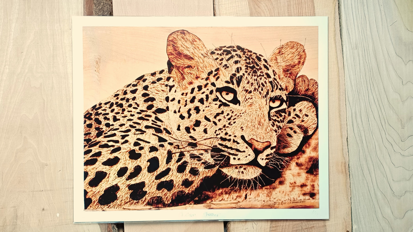 "Chilling Jaguar" Art Print