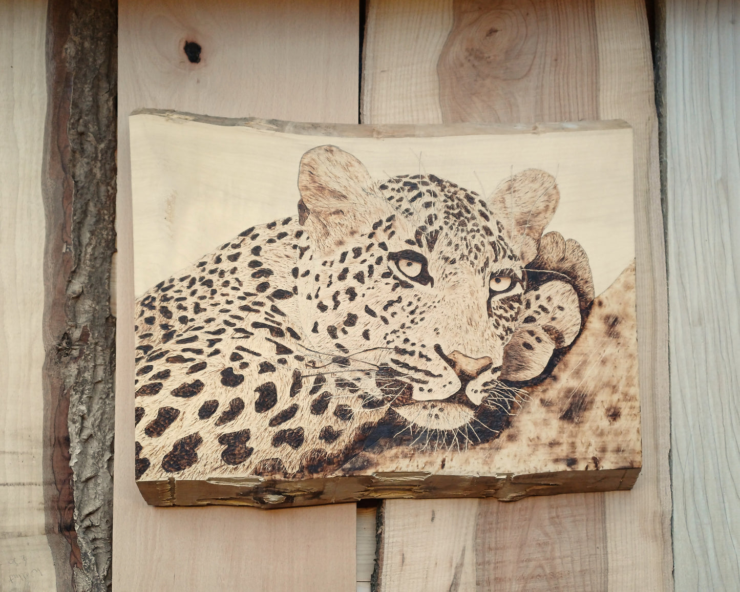 Chilling Jaguar