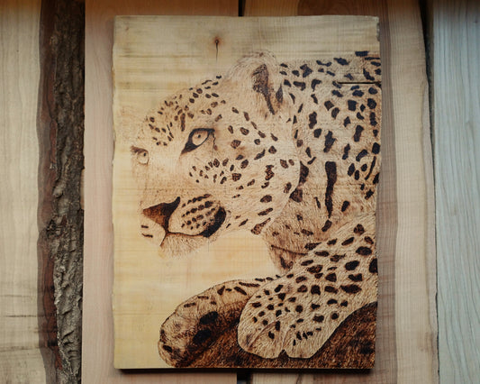 Lingering Jaguar