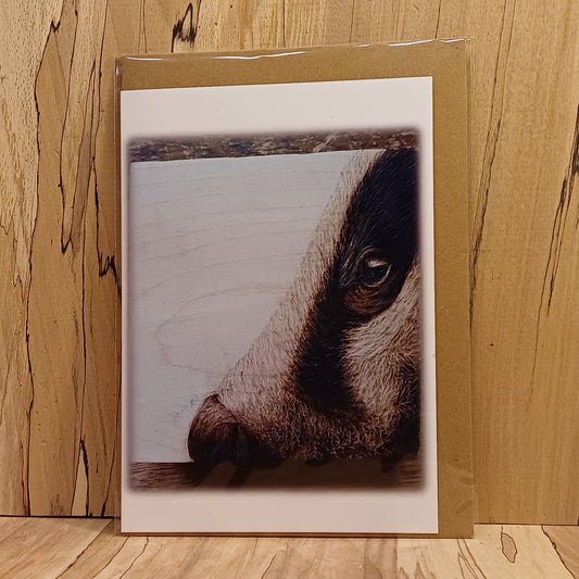 "Your Badgering Me" Greeting Card
