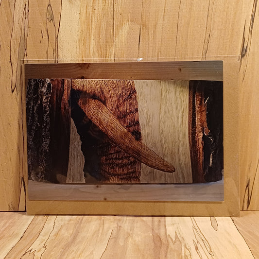 "Trunky"  Greeting Card