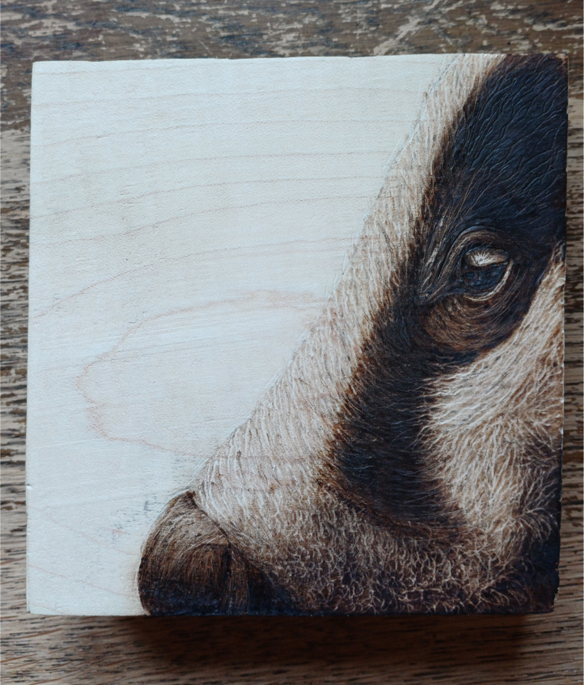 Your Badgering Me - Greeting Cards