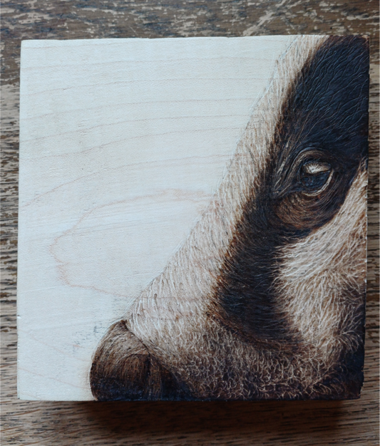 Your Badgering Me - Greeting Cards