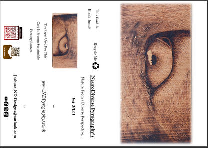 Eye-Leen - Greeting & Post Cards