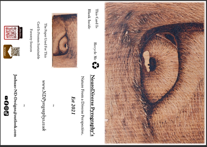 Eye-Leen - Greeting & Post Cards