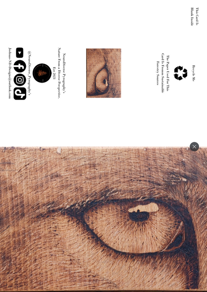 "Eye-Leen" (Close-Up) Greeting Card