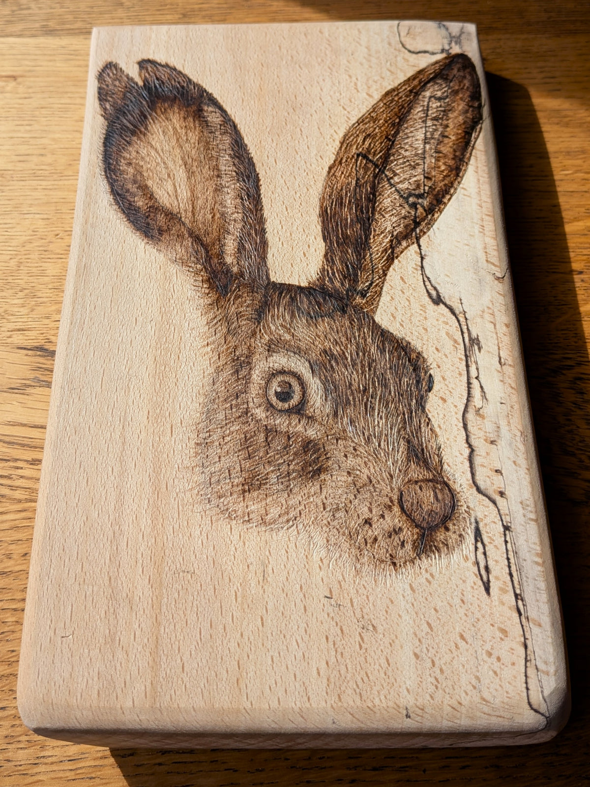 Hare Dare You?