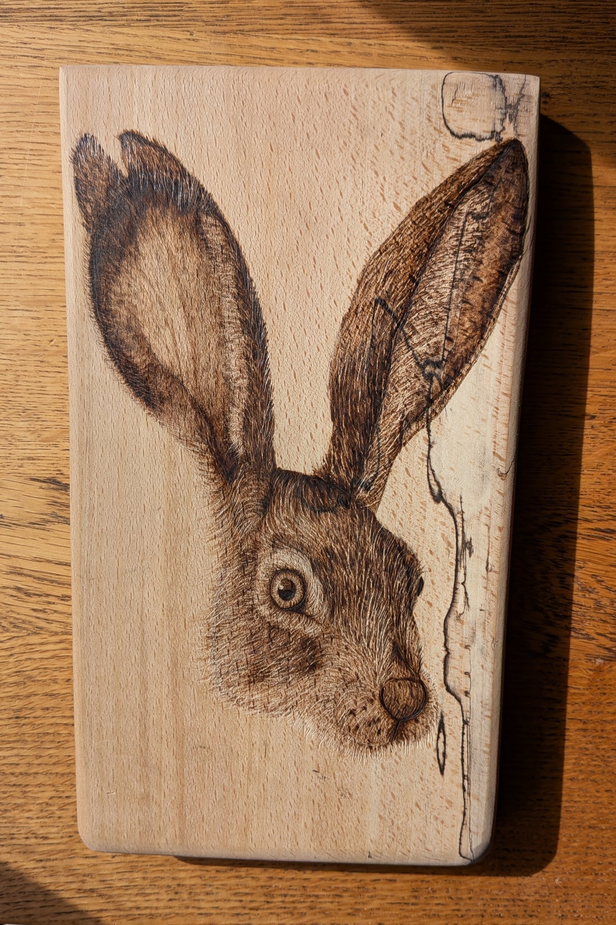 Hare Dare You?