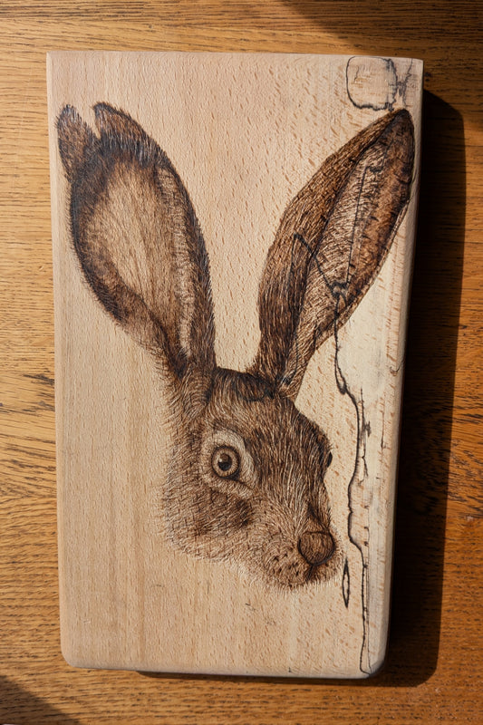 Hare Dare You?