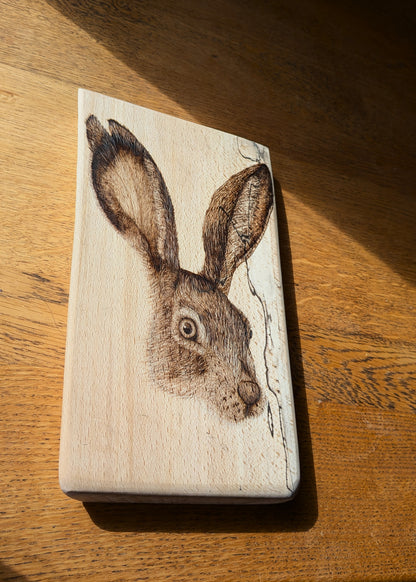 Hare Dare You?