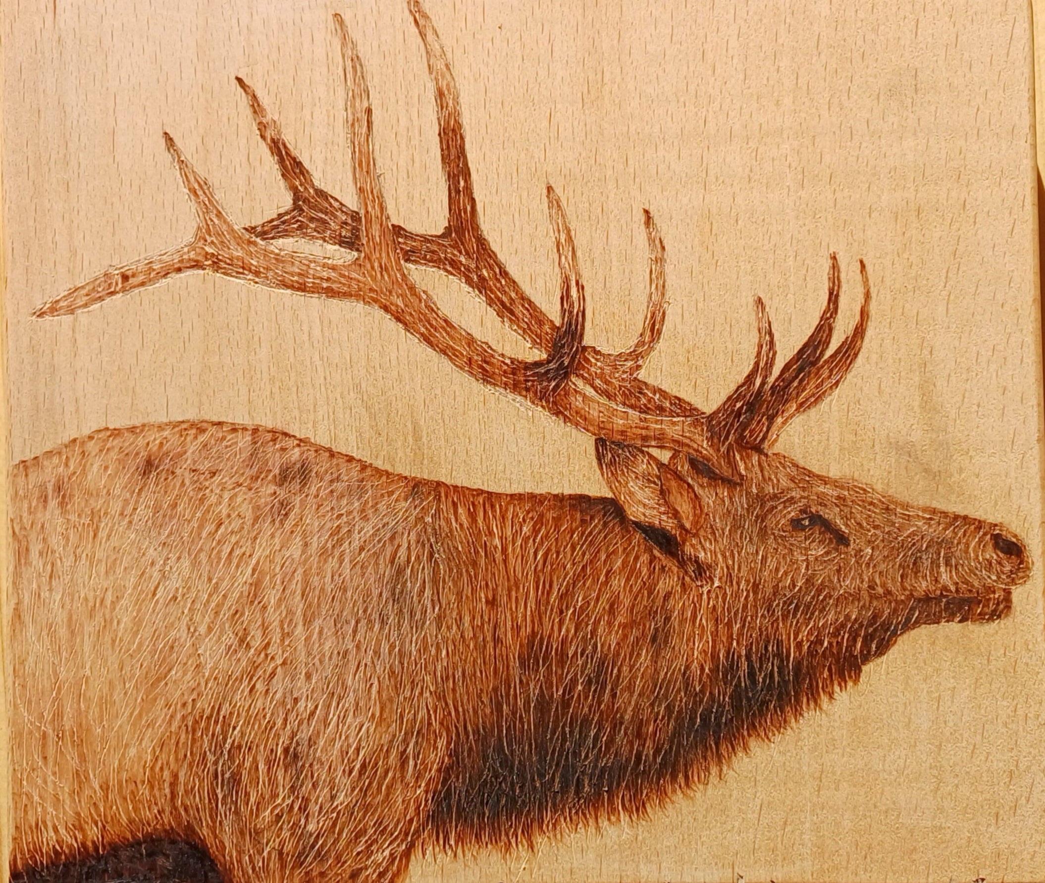Hand Burned Stag WoodWork.