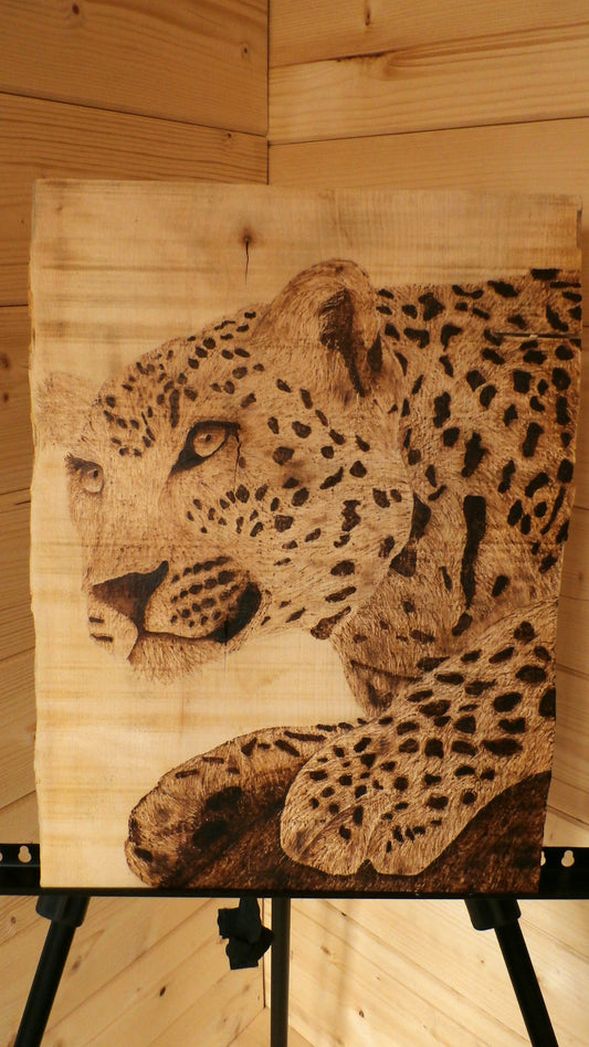 Lingering Jaguar