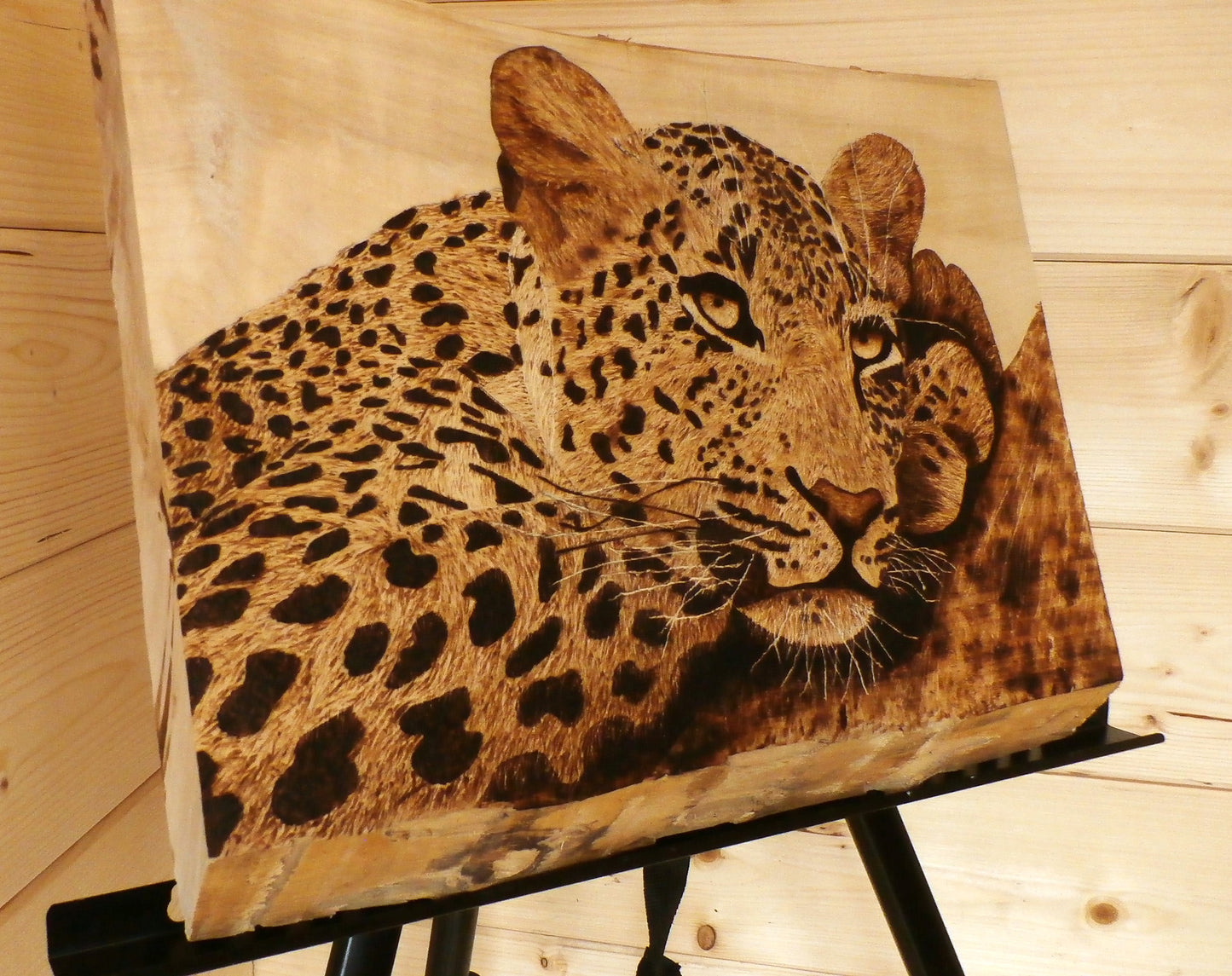 Chilling Jaguar