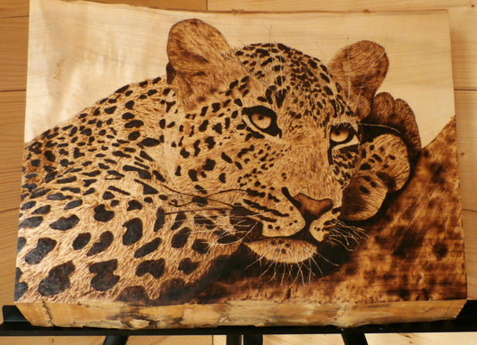 Chilling Jaguar