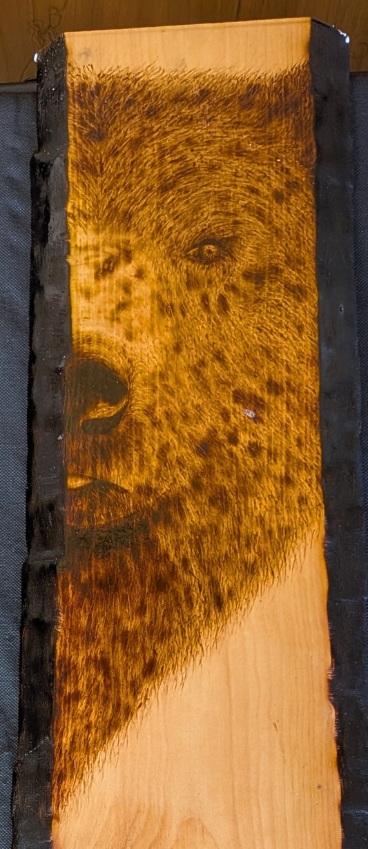 Find Your "Bear"ings