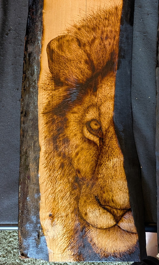Half Mane