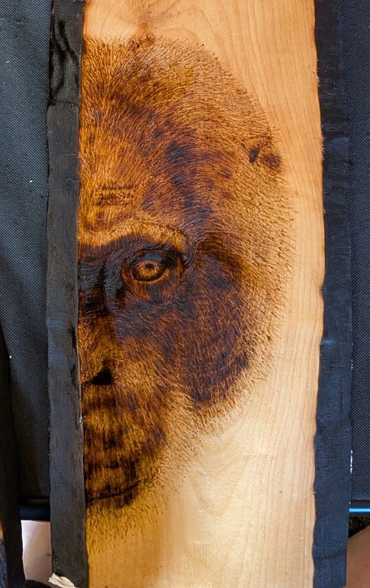 "Ape"reciation