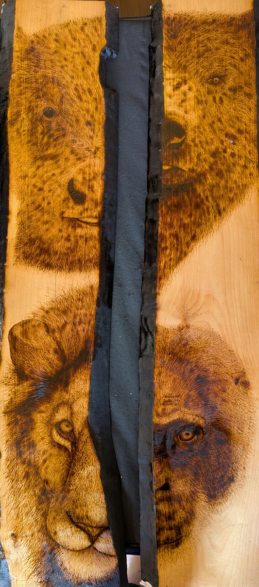 Find Your "Bear"ings
