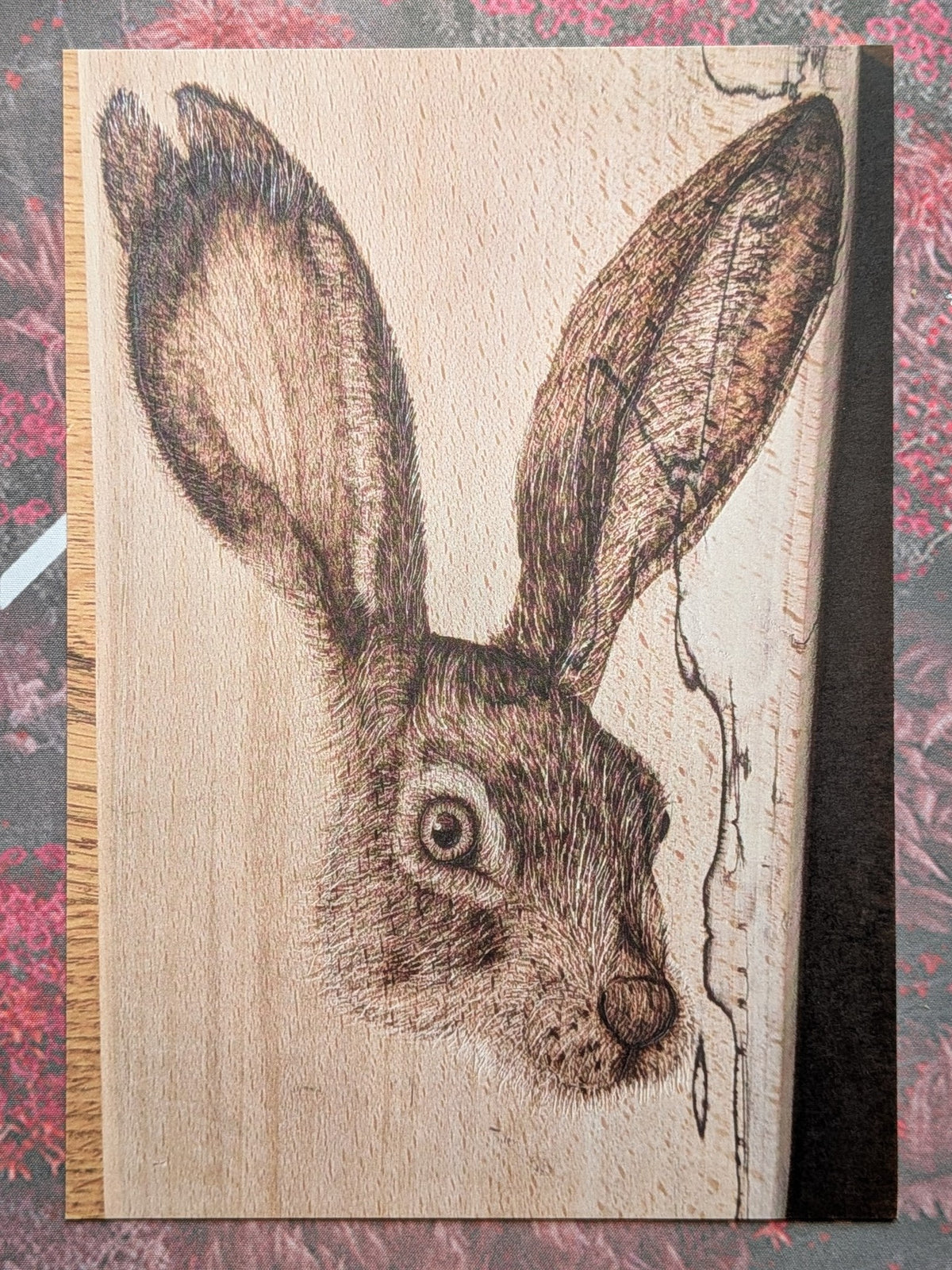 Hare Dare You? - Greeting & Post Cards