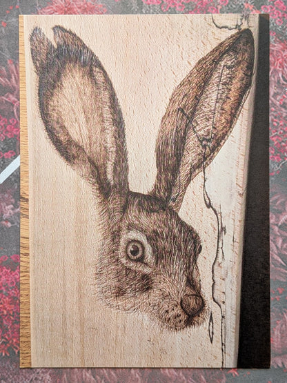 Hare Dare You? - Greeting & Post Cards
