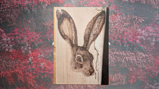 Hare Dare You? - Postcard