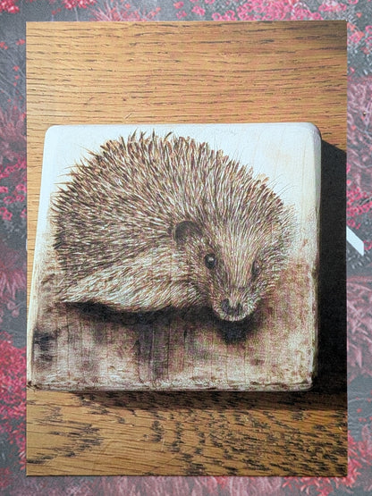 Bonfire Companion - Postcard