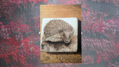 Bonfire Companion - Postcard