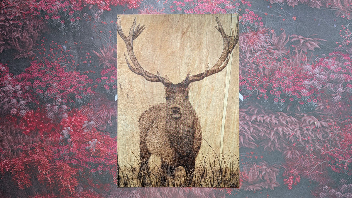 Pride Of Scotland - Postcard