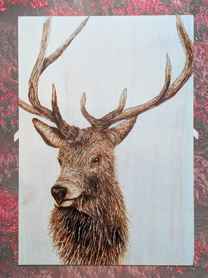 Staggered - Postcard