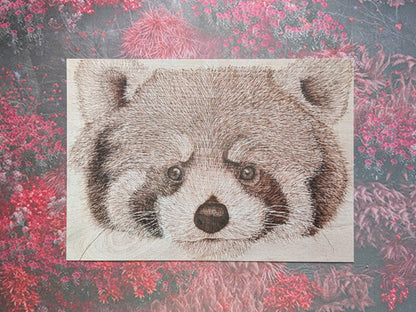 Red Panda - Postcard
