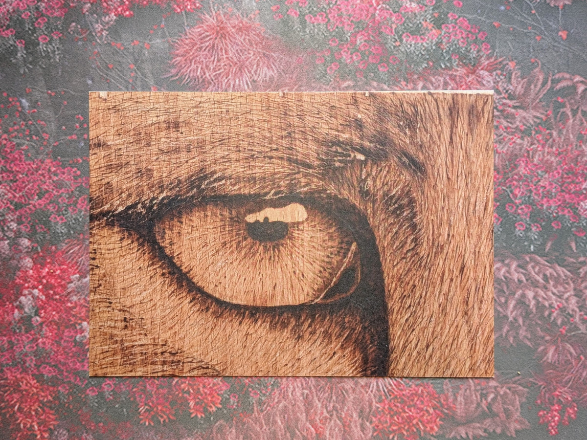 Eye-Leen - Greeting & Post Cards