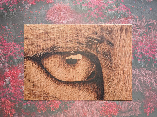 Eye-Leen (Close-up) - Postcard