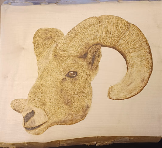 Ram-Say