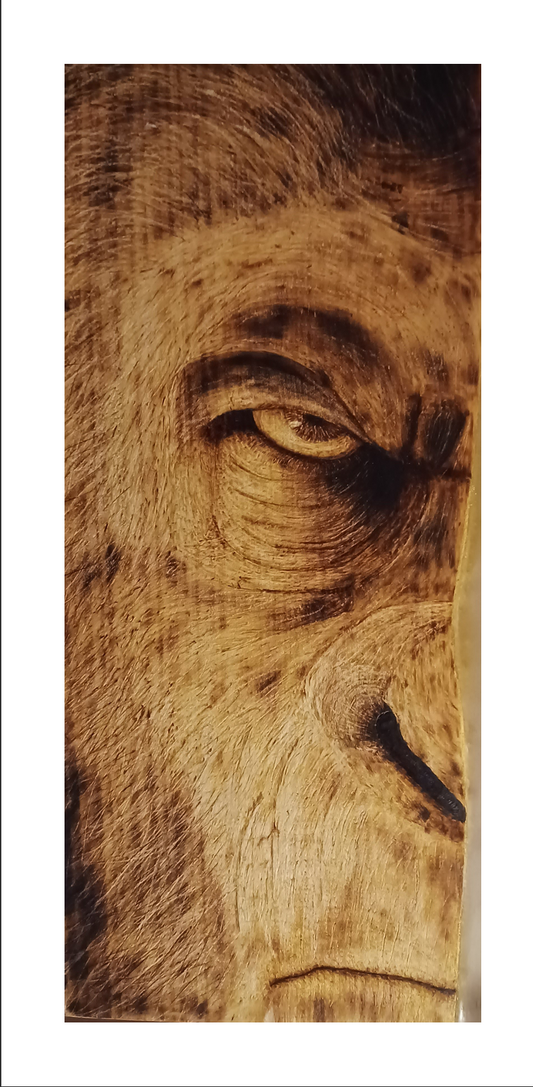 "Light" From "Light & Dark" Art Print